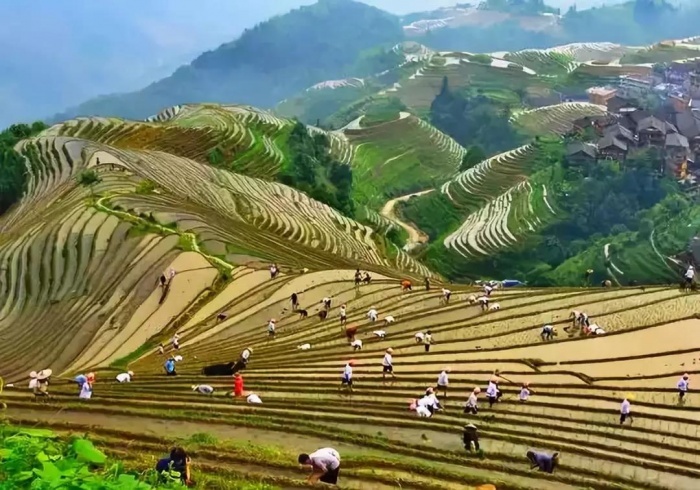 微信图片_20210412163244