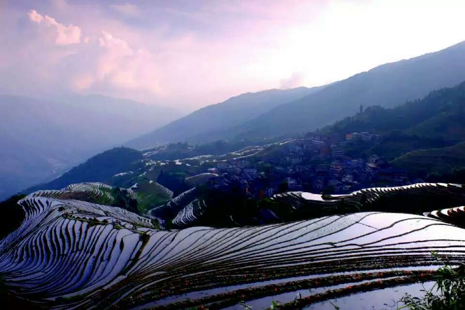 mmexport1494682082372