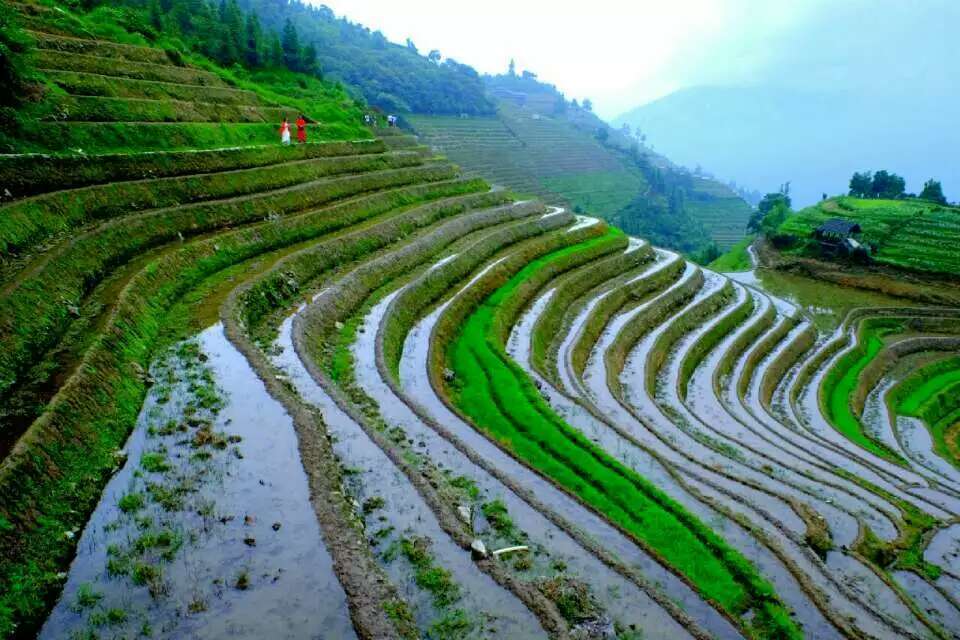 mmexport1494682097964