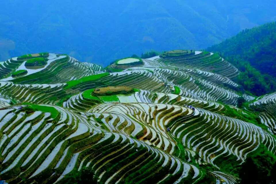 mmexport1494682101349