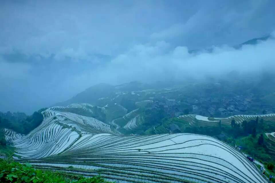 mmexport1494682105194