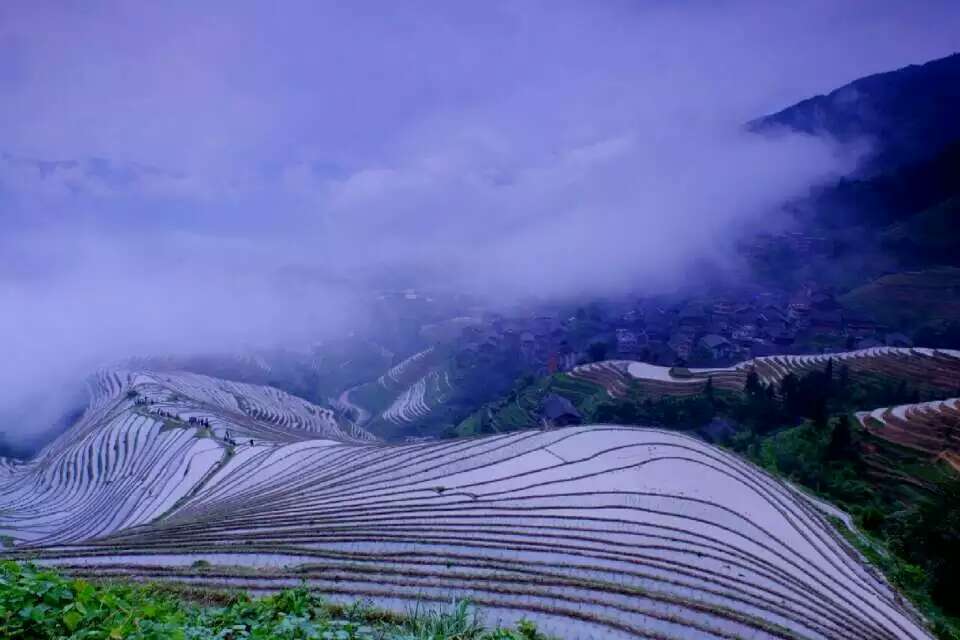 mmexport1494682113443