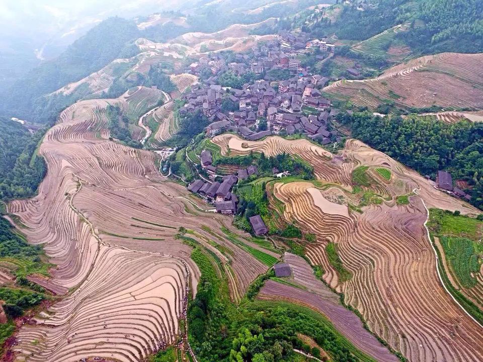 mmexport1465573057997