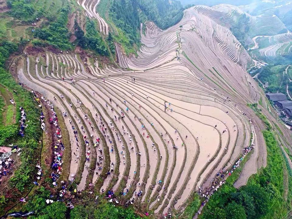 mmexport1465573062283