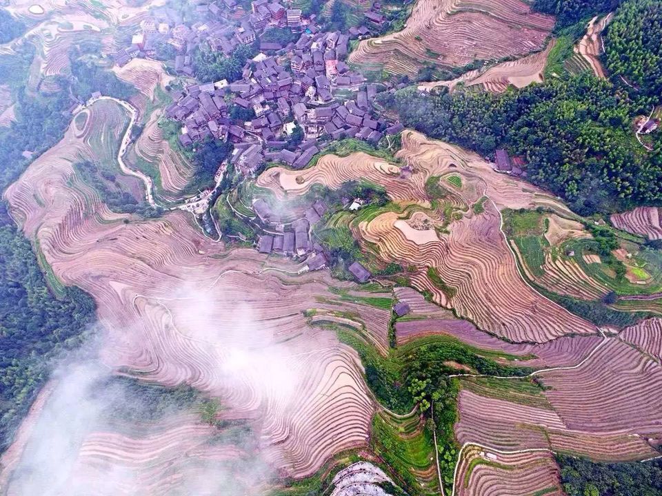 mmexport1465573067500