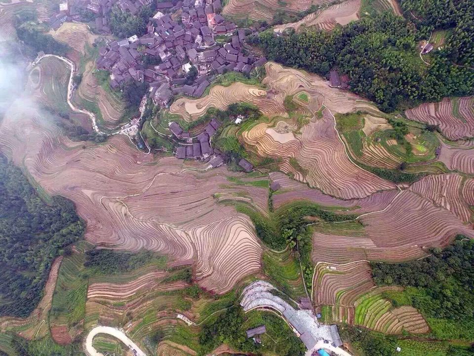 mmexport1465573070085