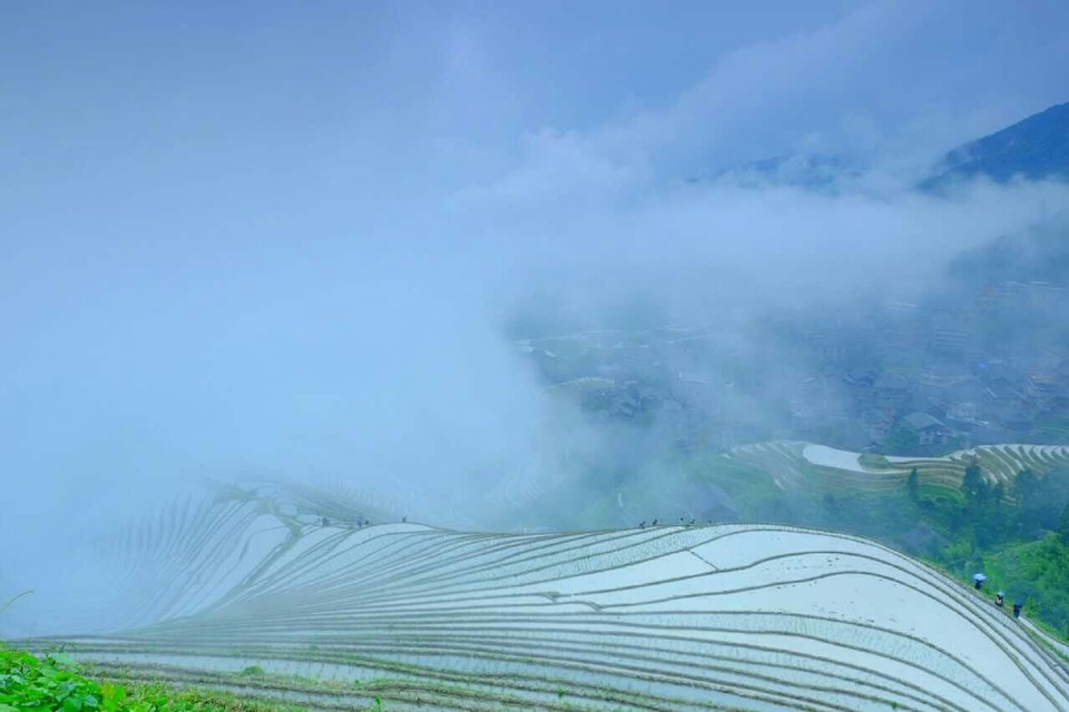 mmexport1465574263574