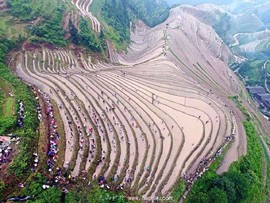 mmexport1465573062283