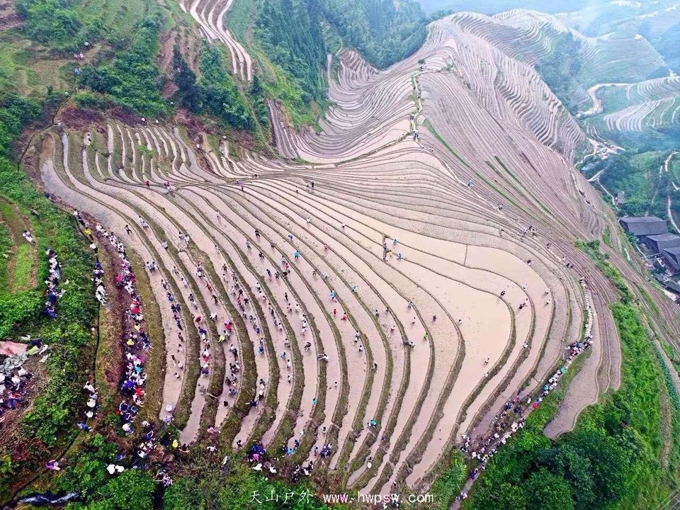 mmexport1465573062283