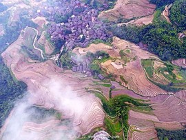 mmexport1465573067500