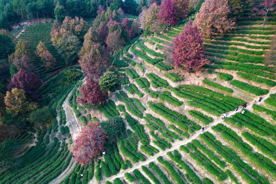 1bf8650561003912bd5d421f6528f56