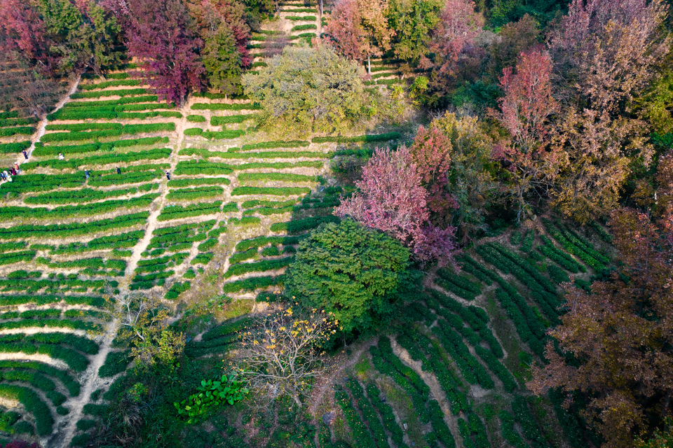 3fecf3d01c103fee11d945163fd7ba1