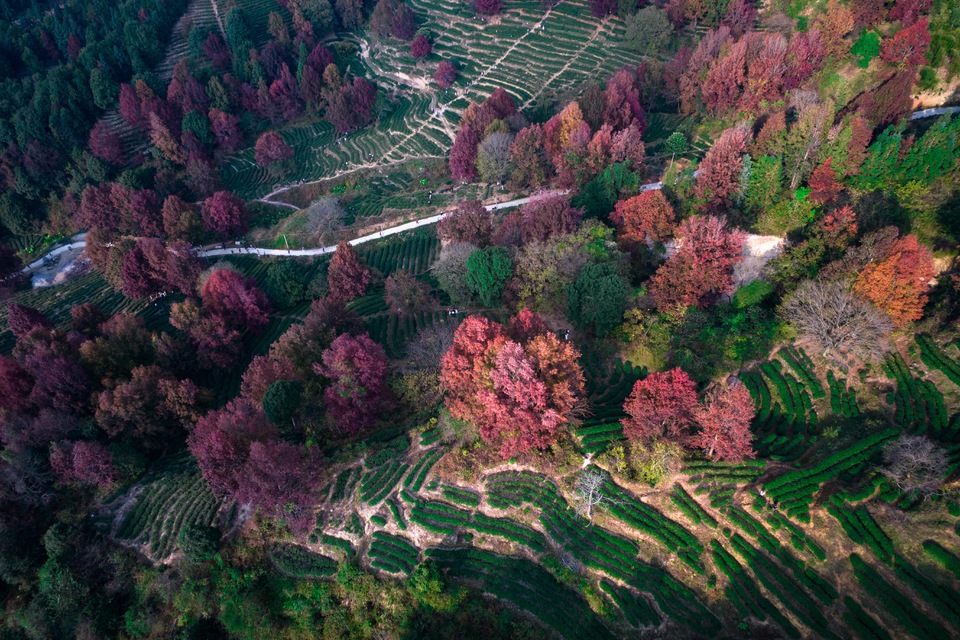 6b1ffb88ccbb8a0210db741044a42c3