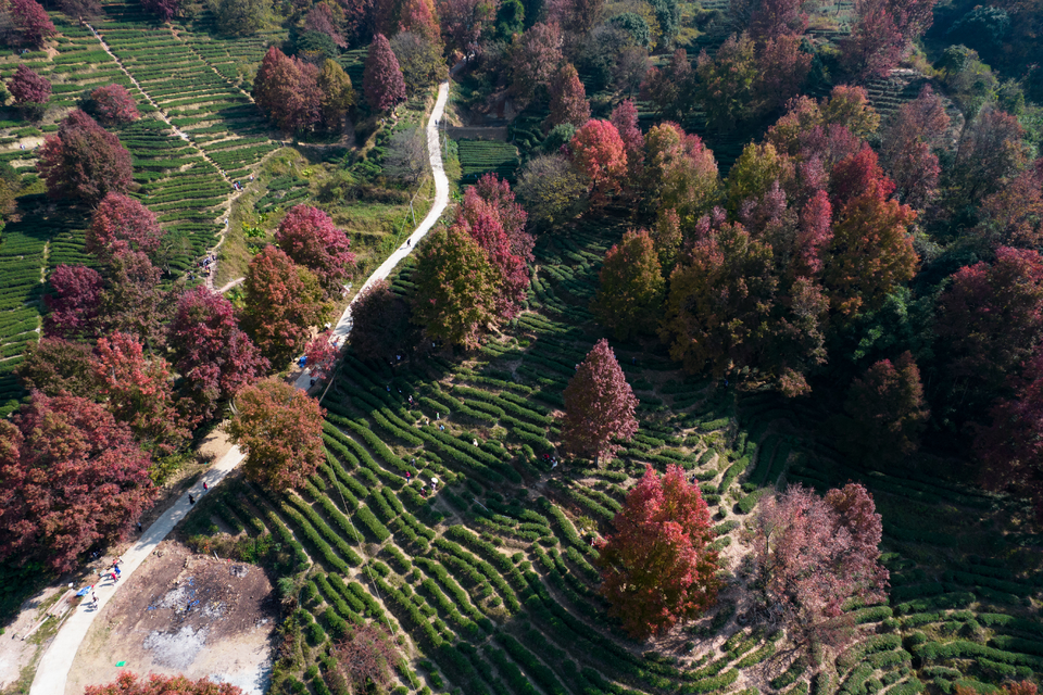 9e38cc0c94e7bea246847a58ad5014b