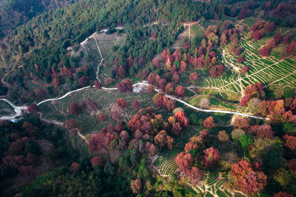 99fb6cecf5bbf4d9ec2892bd6d5b444