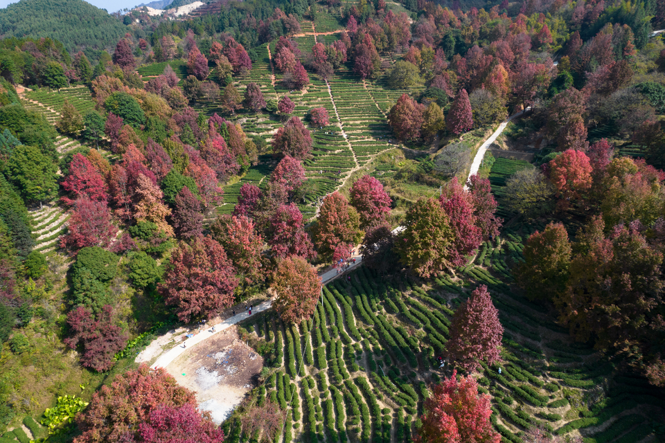 188fd75001c89acbc520fdc39460d4c