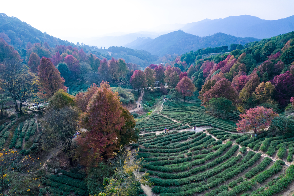 366b9457c9cf7626ec0ba3d3bce44fb