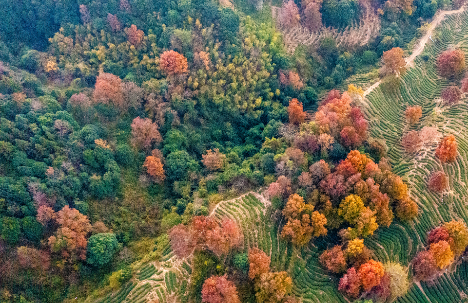 841dd62075c393bee06eb27e66ed6aa