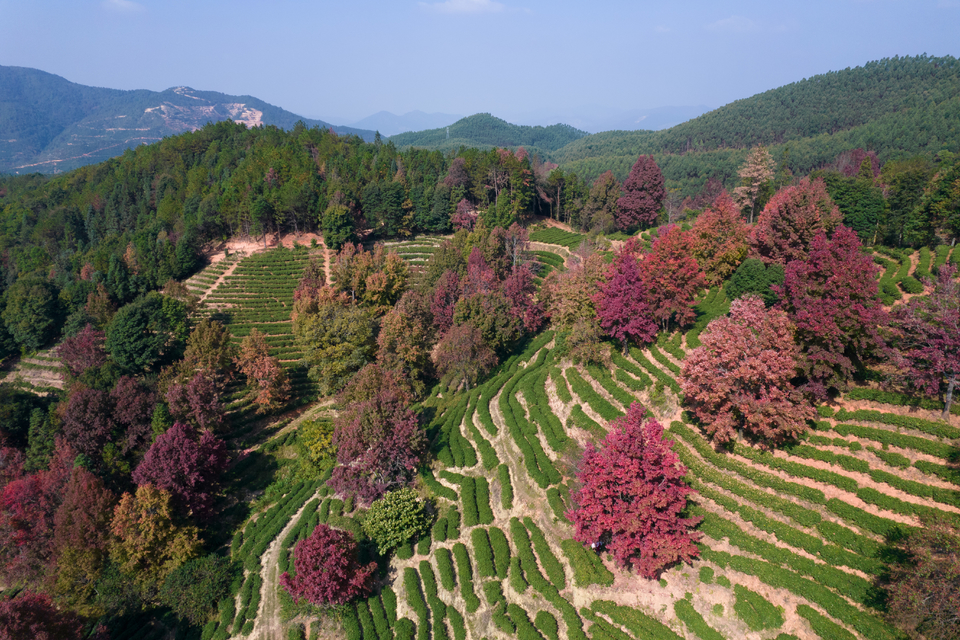 2764d81cc82d94633beee94309d5f20