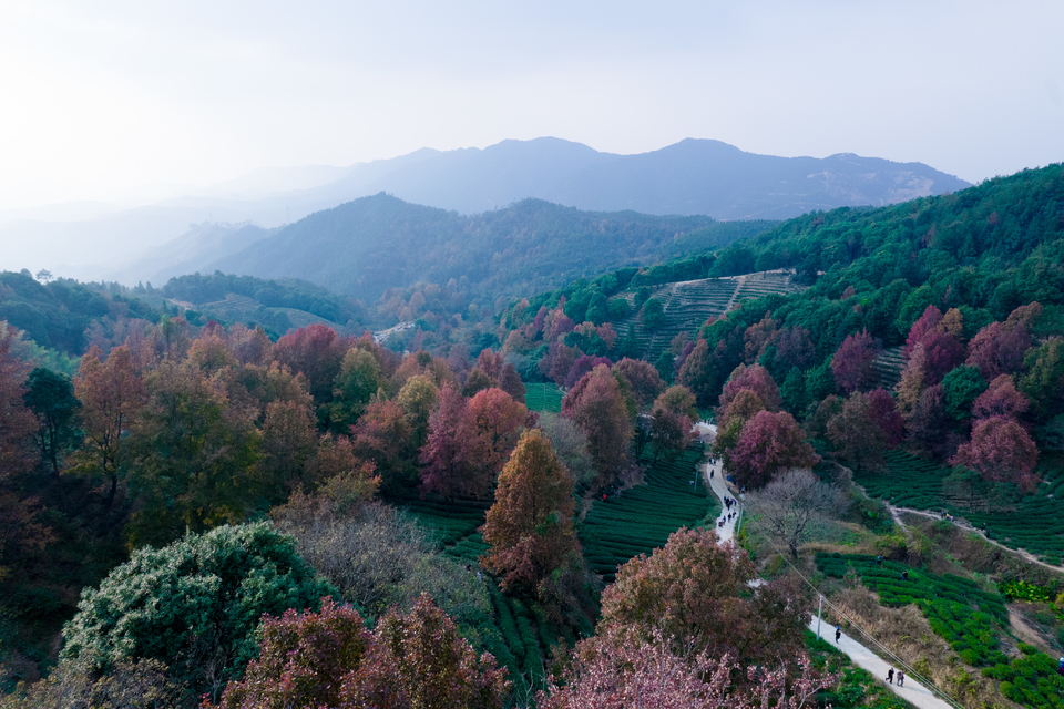 8991f5e6720df4f5c5bd6be7c7e30fc