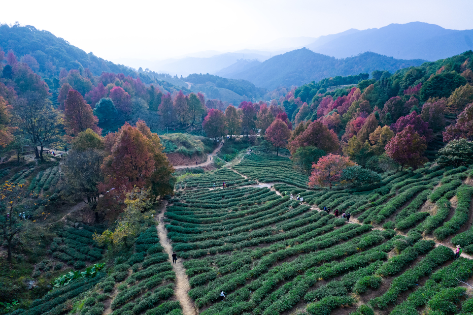 6209904c3e282290cb04bb68043184f