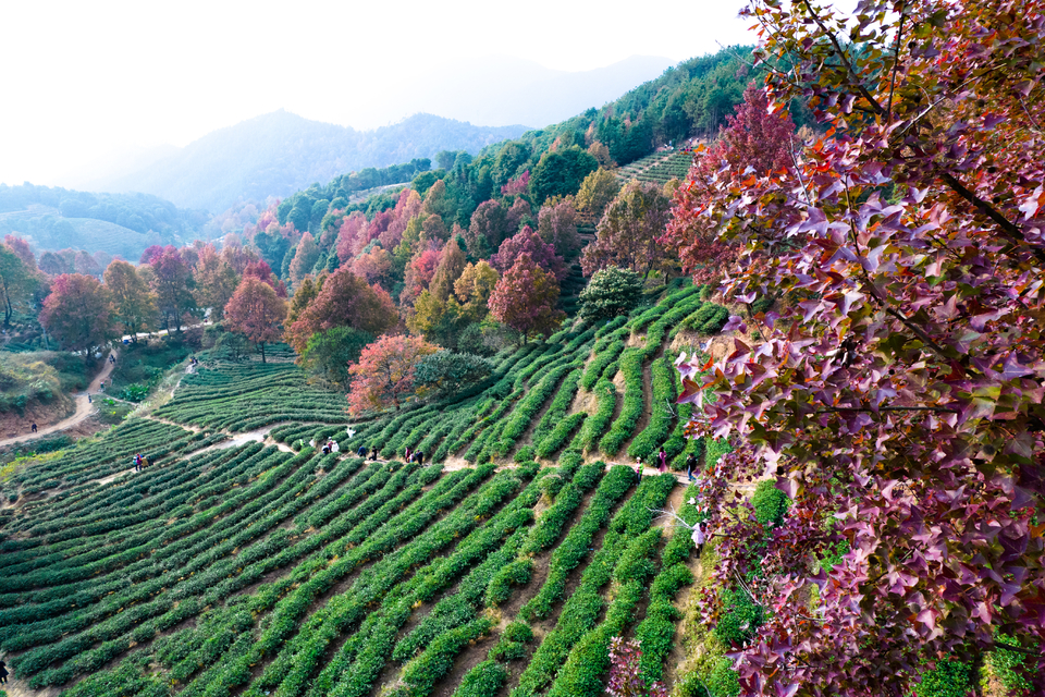 73979031d934ee3cbf7da7d2a5140b8