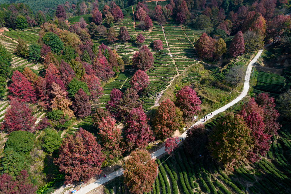 a4a949d2d677d4cf86097fc2d14d268