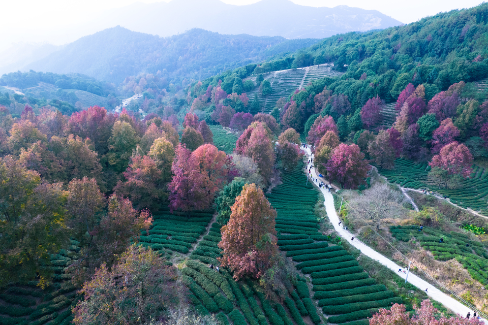 a0947b95c4ab01370e3a84454f06e79