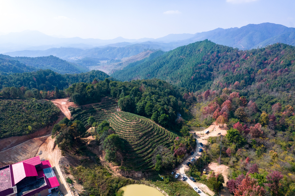 b001b7127468dbed1e121e9929f8809