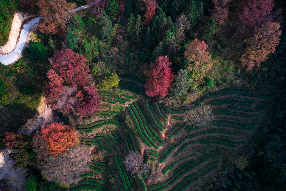 bbb2763680a2cce06686a0453bb91a6