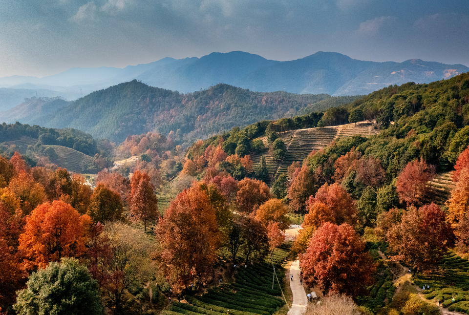 c00b562a59e448514ef714dce3772aa