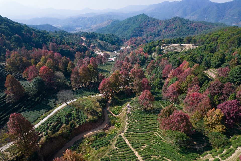 e18d7ef2b9611c8a7762c7d4e127d29