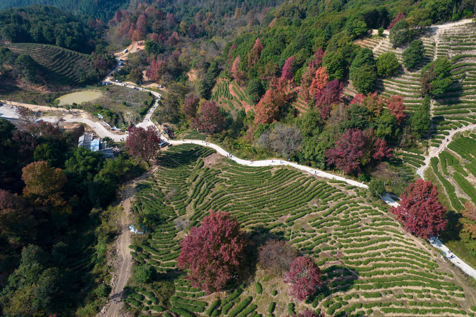 f1824923624cb4076e76b2033f23100