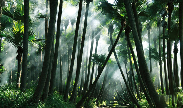 0c46e808a185c50979599f728cc8ab90-sz_311754