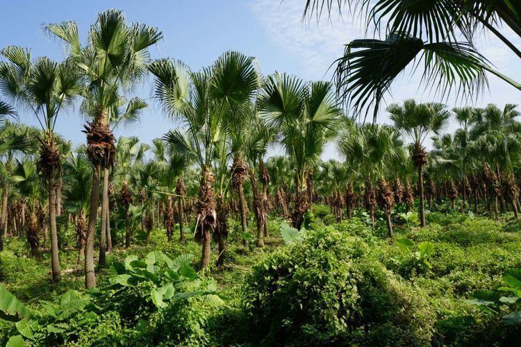 2d964ac8e614b8e1853fb65b1724b9a3-sz_124927