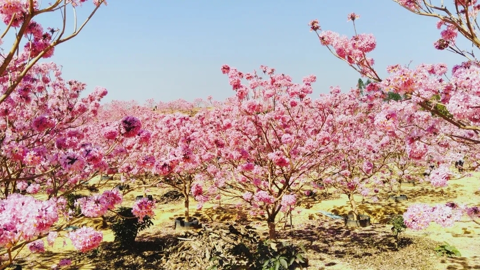 5fb28f16c9977cd6d94c602deb65f0a7-sz_615626