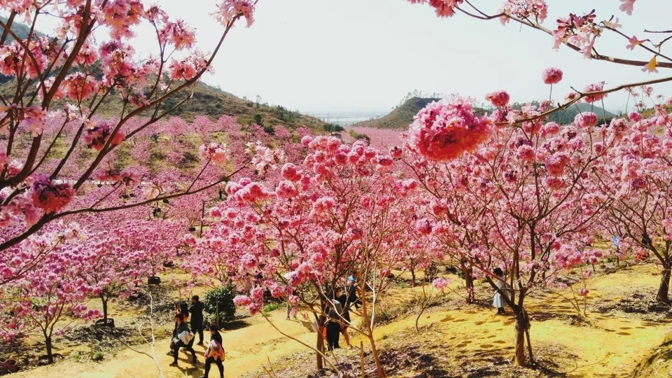 11f0d3883f248269f2a1a38640be1579-sz_634726