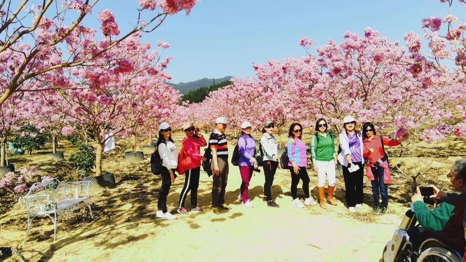 42c0978cdd8b1a2267cb88e11bdd5430-sz_615525