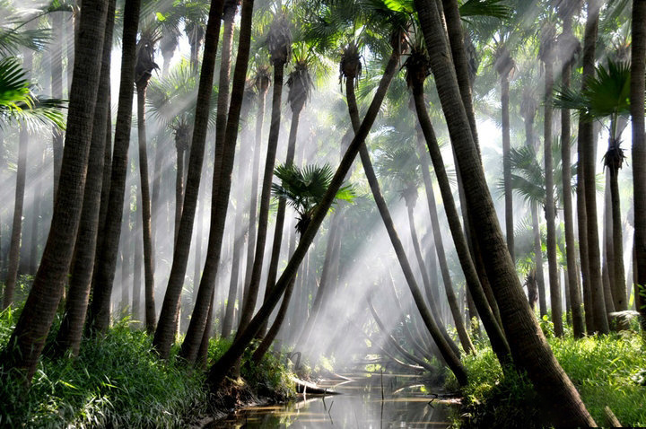 58b2a98b9c37543051522ce6ff5a1dca-sz_336501