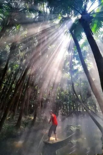 71fd437653a417b69386ceb2e9cd757a-sz_131020