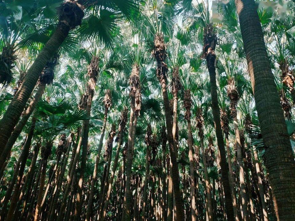 75f1fa5d3023abe63d420c15ba2ae82a-sz_273810