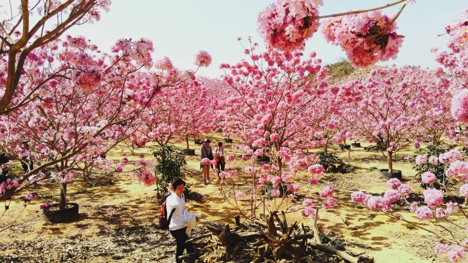 113e82d38505923370629dd901d8b617-sz_674457