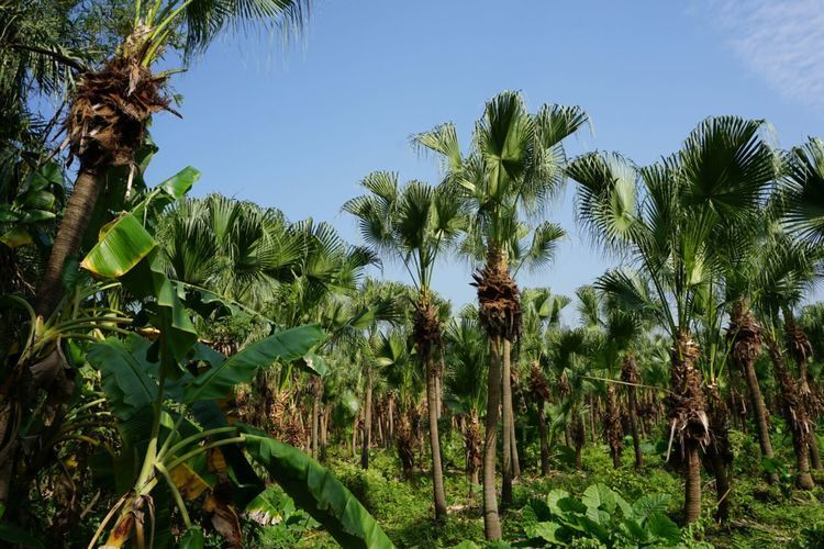 153d647df5a60c740745429056c850b1-sz_106071