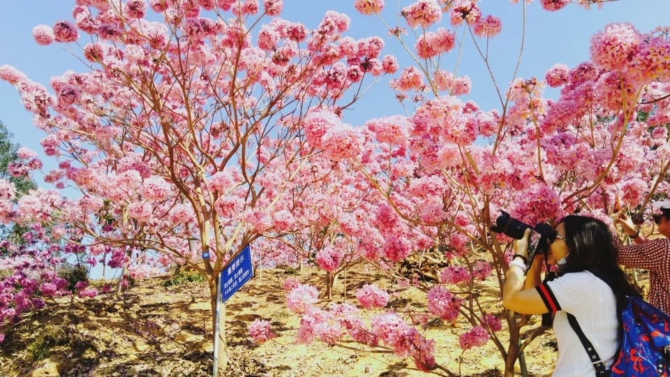 891ce6e24ab070a567127d002e7b1565-sz_696620