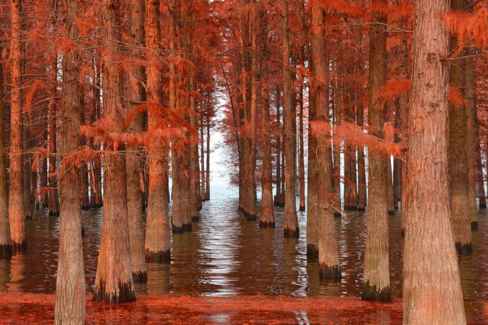 3037ea2a8e60e8dbd33f121a9c487025-sz_621405