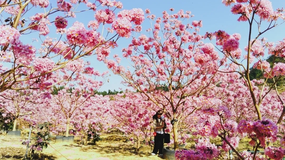 65481f8b36cf2b2c3e9c3dd8c4eb1d34-sz_691307