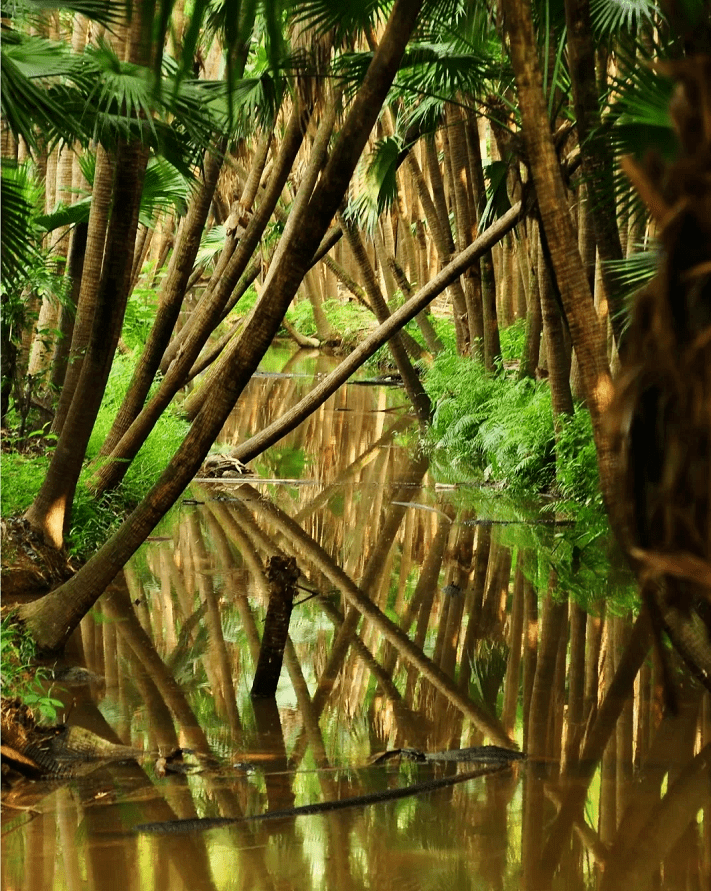 3939412e52401c6375b50fd887168869-sz_470321