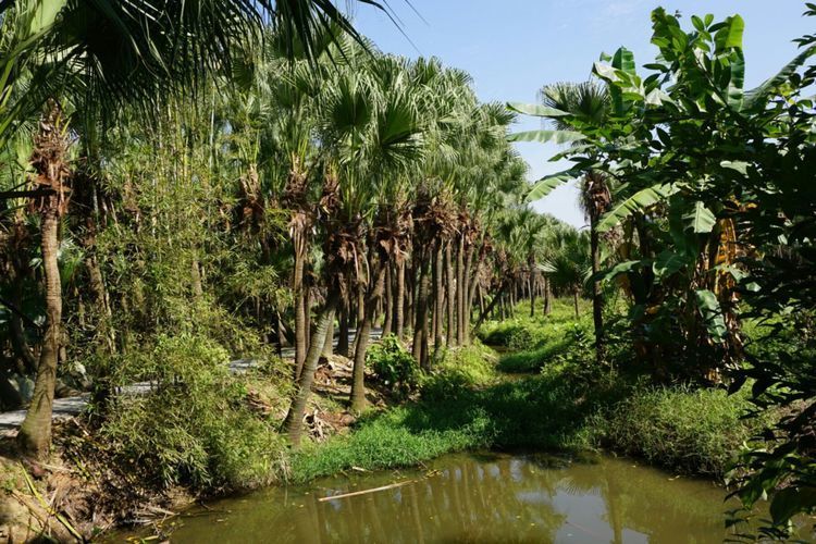 a5e18359e451abefac166b043916146d-sz_125378