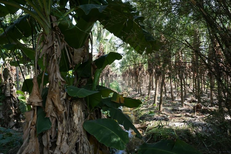 b1dd391daad2b4bcade68065bf726f43-sz_107202