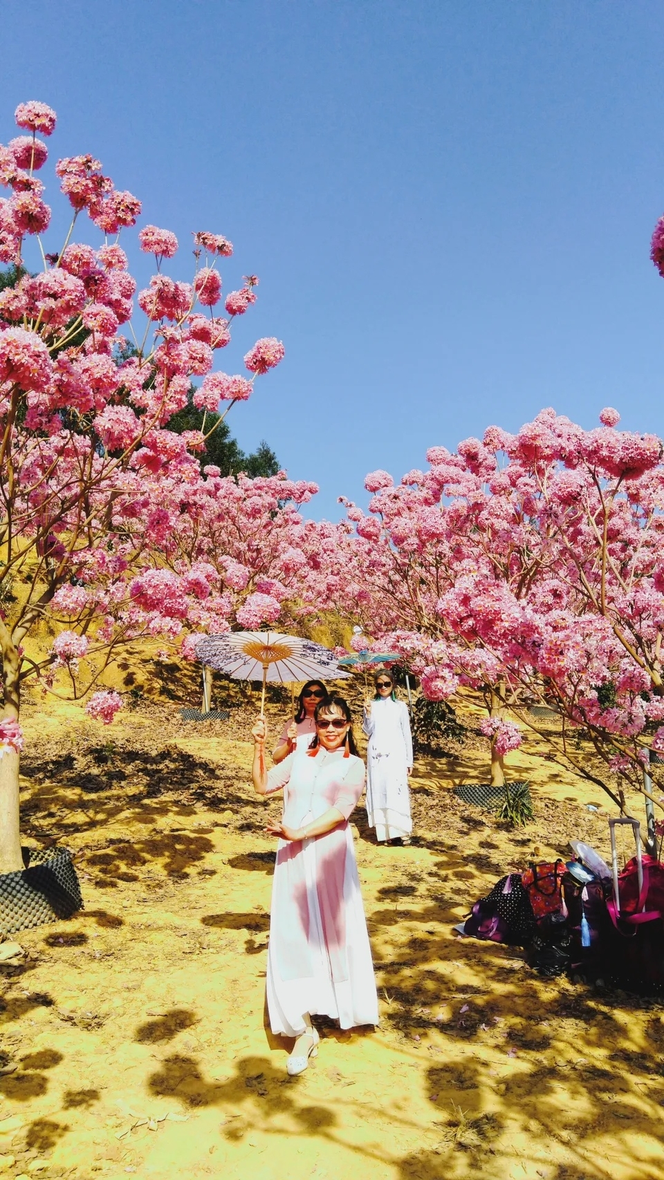 b2cfea48c62d9adee9e38841e22d2b29-sz_1687319